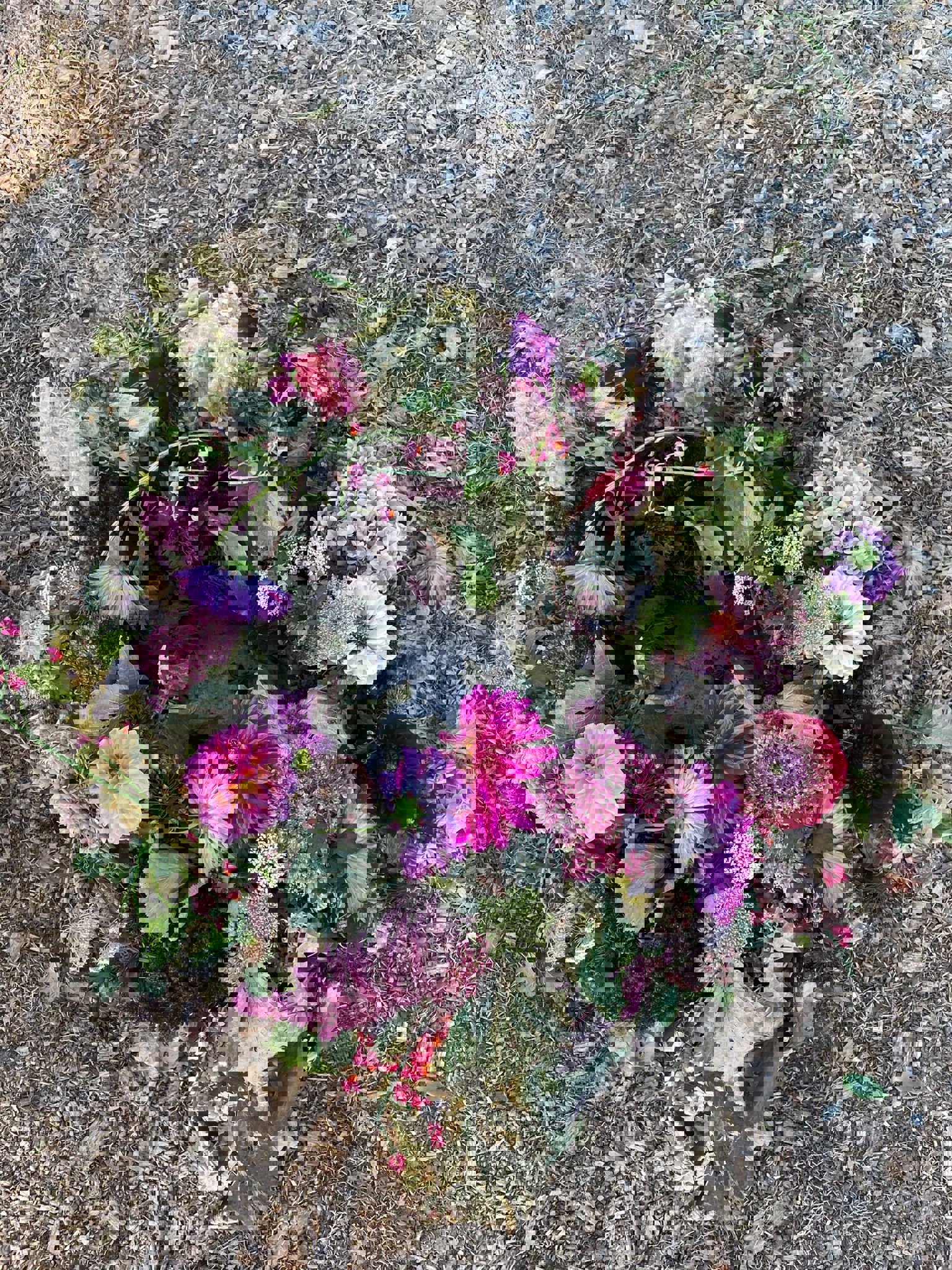 IMG-20251006-WA0051-10