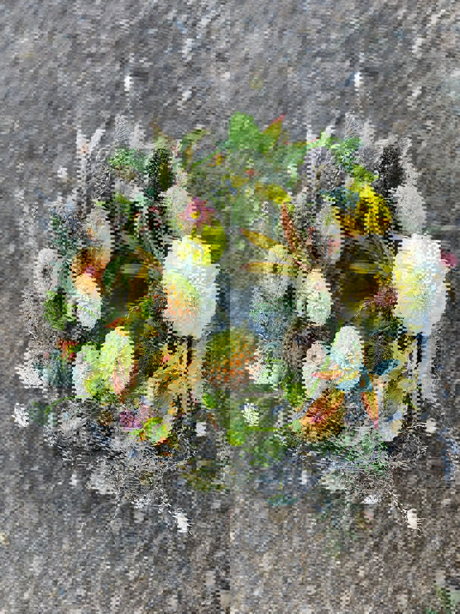 IMG-20251006-WA0051-8