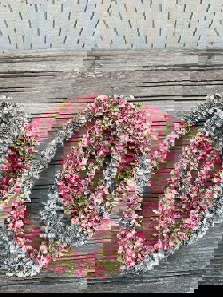 IMG-20251006-WA0051-4